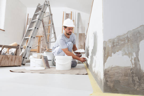 Best Fire-Damaged Drywall Repair  in Cherry Grove, OH